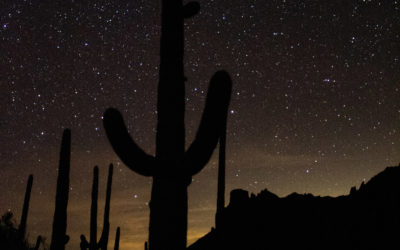 La Magia de la Noche en La Baja. Observación de Estrellas y Experiencias Nocturnas Inolvidables